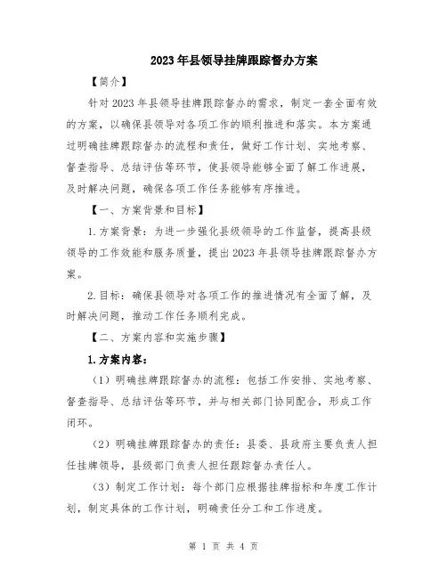2023年县领导挂牌跟踪督办方案