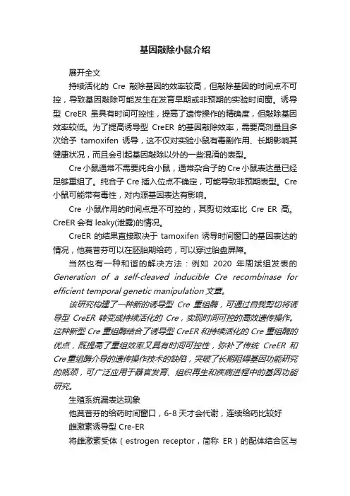 基因敲除小鼠介绍
