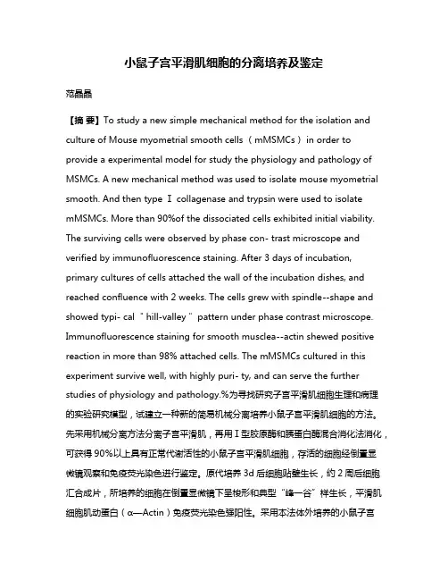 小鼠子宫平滑肌细胞的分离培养及鉴定