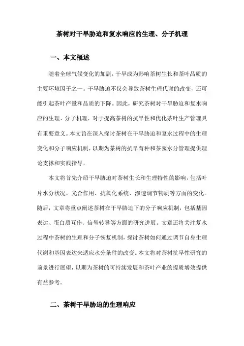茶树对干旱胁迫和复水响应的生理、分子机理