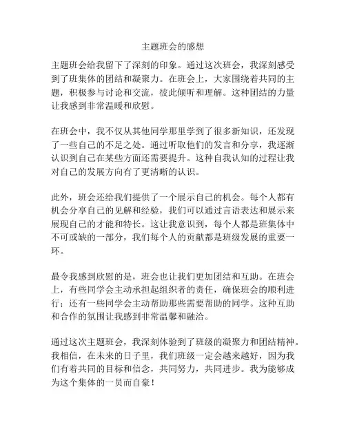 主题班会的感想