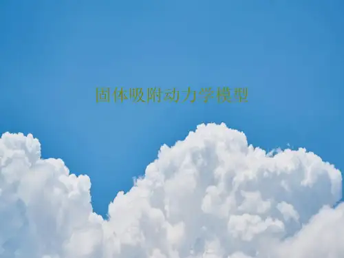 固体吸附动力学模型PPT文档16页