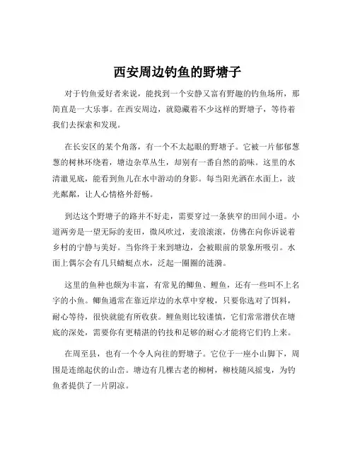 西安周边钓鱼的野塘子