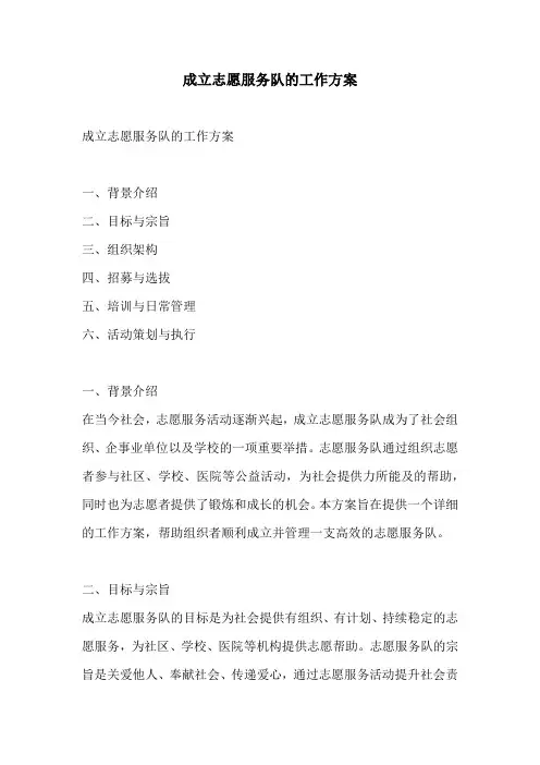 成立志愿服务队的工作方案