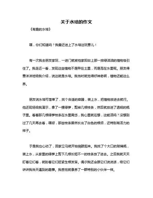 关于水培的作文