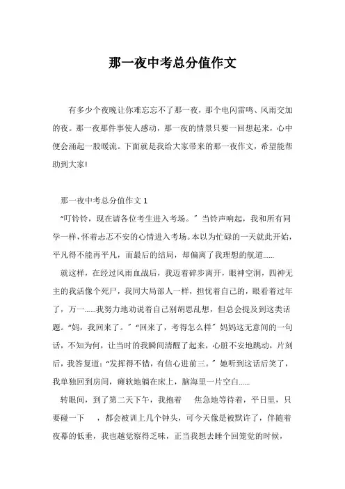 (中考作文)那一夜中考满分作文