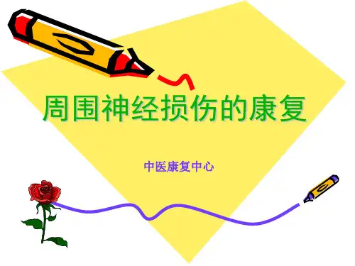 周围神经损伤的康复PPT课件-文档资料86页