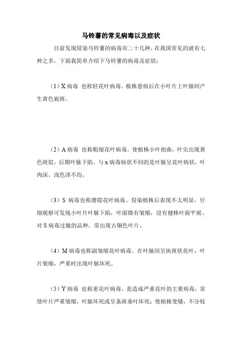 马铃薯的常见病毒以及症状.doc