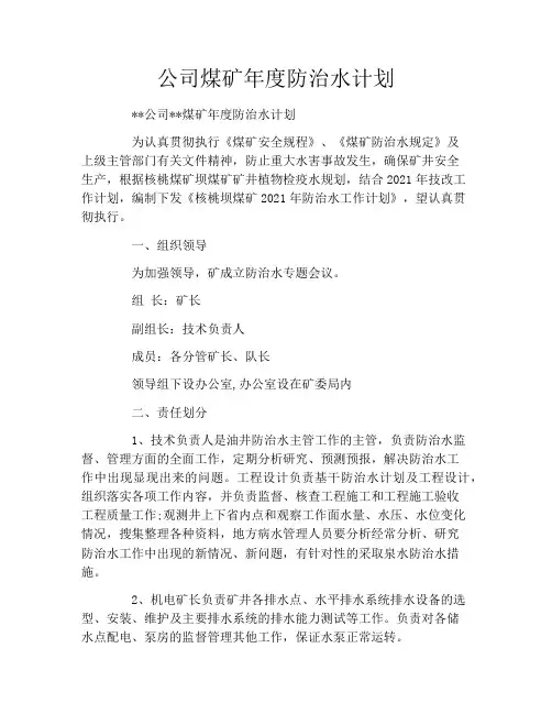公司煤矿年度防治水计划