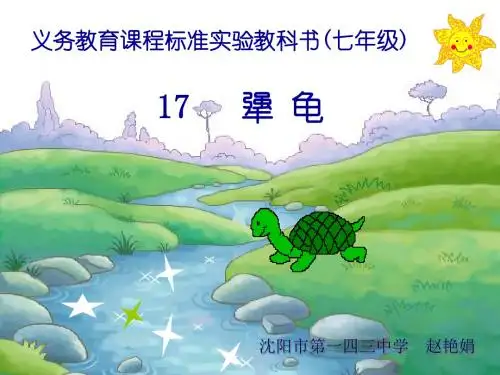 犟龟PPT课件56 语文版 (共36张PPT)