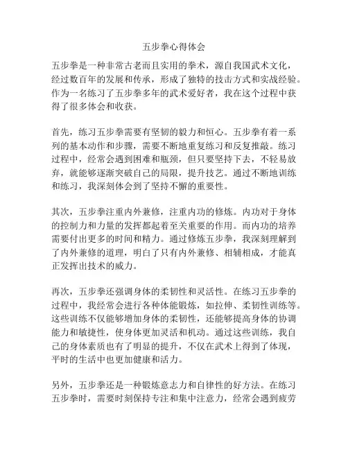 五步拳心得体会