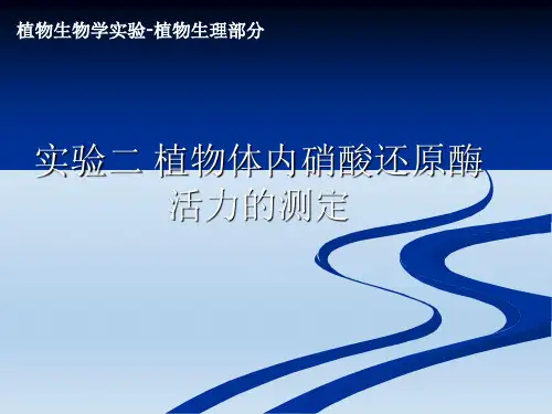 实验二 植物体内硝酸还原酶活力的测定