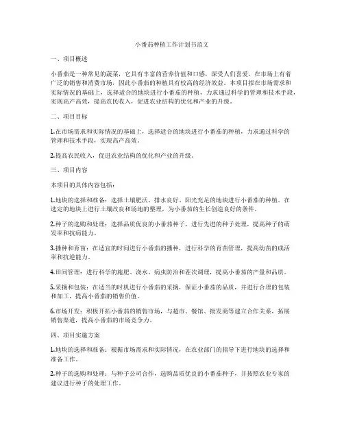 小番茄种植工作计划书范文