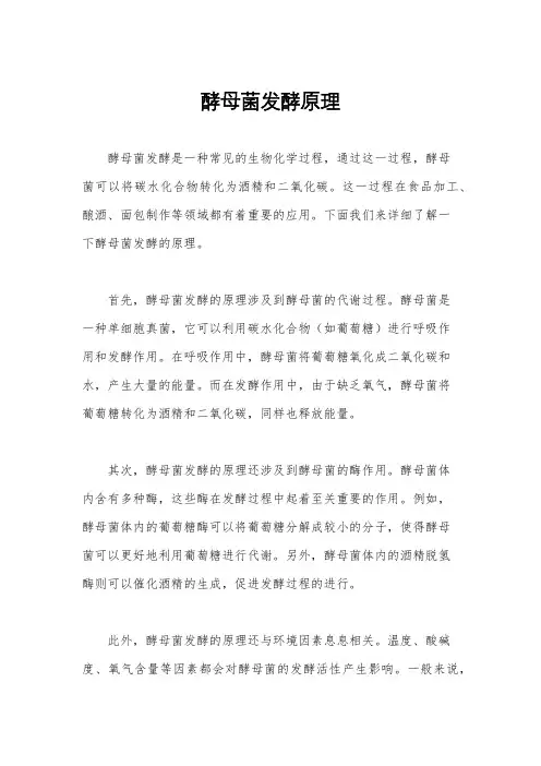 酵母菌发酵原理
