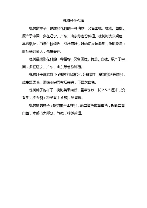 槐树长什么样