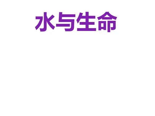 三年级科学上册第二单元饮用水第14课水与生命课件2鄂教版