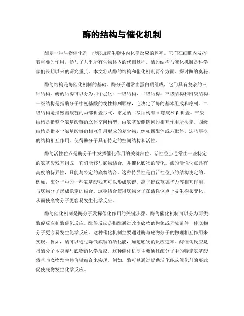 酶的结构与催化机制