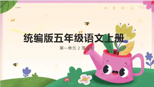 落花生ppt课件