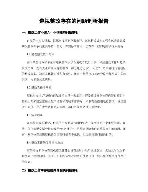 巡视整改存在的问题剖析报告