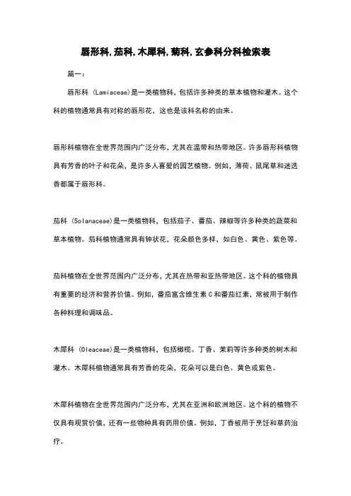 唇形科,茄科,木犀科,菊科,玄参科分科检索表