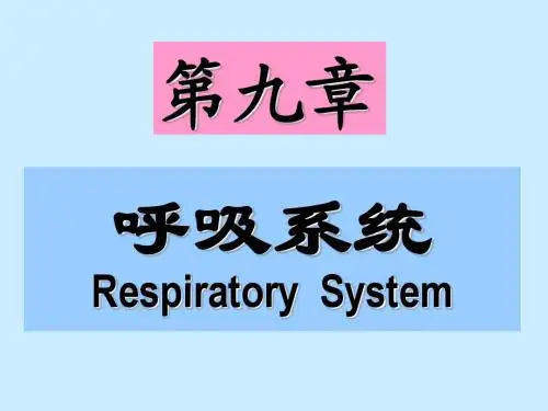 9呼吸系统-祝彼得 组织学与胚胎学(组胚)