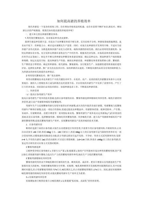 如何提高猪的养殖效率