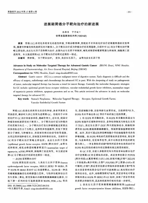 进展期胃癌分子靶向治疗的新进展