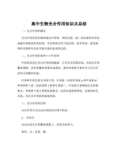 高中生物光合作用知识点总结