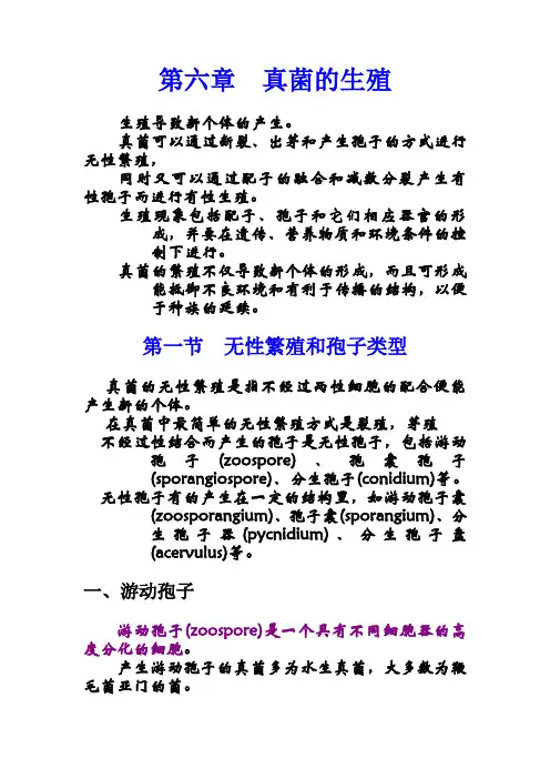 6-真菌的生殖