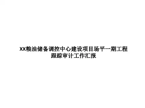 跟踪审计报告