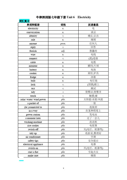 Unit 6 Electricity词汇检测 牛津深圳版英语七年级下册(含答案)