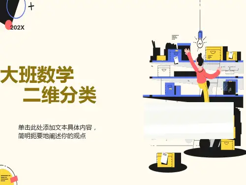 大班数学二维分类
