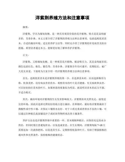 洋紫荆养殖方法和注意事项
