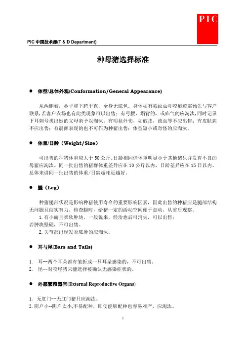 种母猪的选择标准
