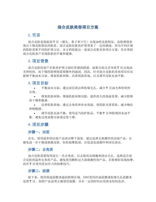 混合皮肤美容项目方案