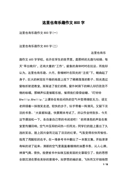 这里也有乐趣作文800字