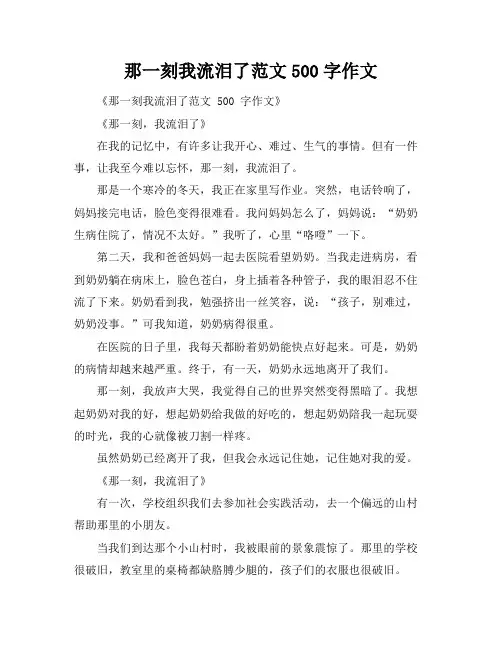 那一刻我流泪了范文500字作文