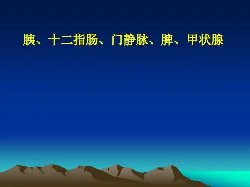 局部解剖学：十二指肠肝胆脾胰