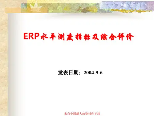 ERP水平测度指标及综合评价(PPT 17)