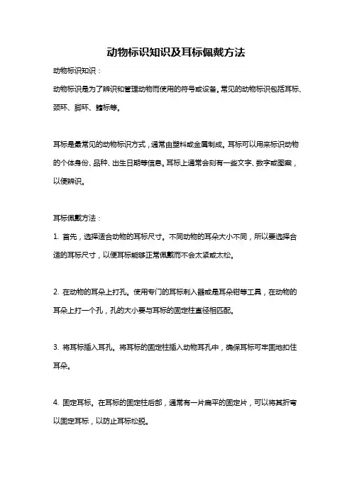 动物标识知识及耳标佩戴方法