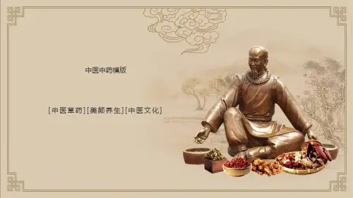 中医养生PPT模板中国风中药草药医学医疗医院医生传统文化课件ppt (129)