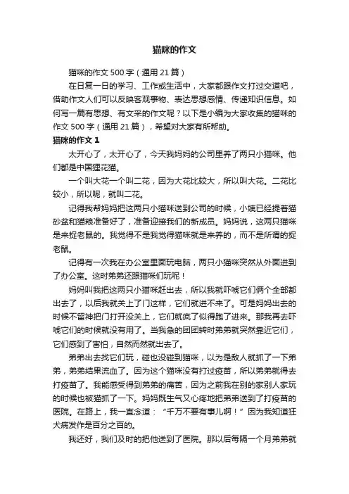 猫咪的作文500字（通用21篇）