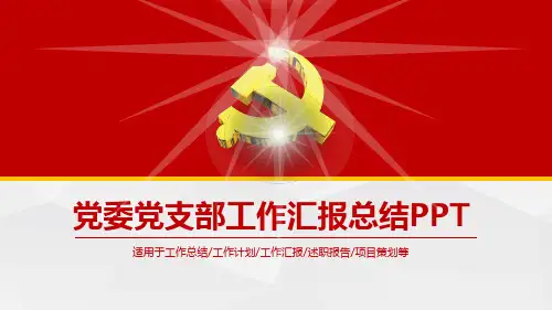 严谨大气党委党章党政机关党支部工作总结汇报计划述职PPT模板