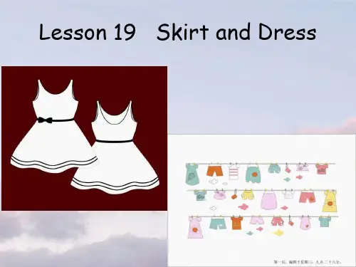 冀教版英语(一起)二年级上册Lesson 19 Skirt and Dress 课件2