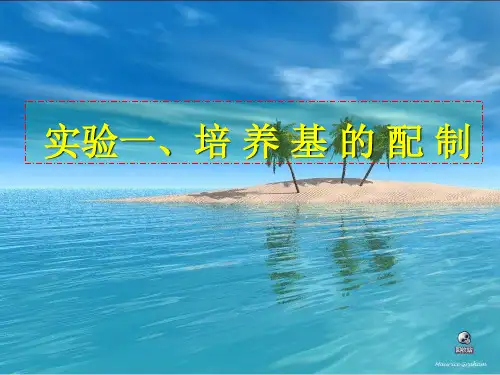 实验一培养基的配制.ppt