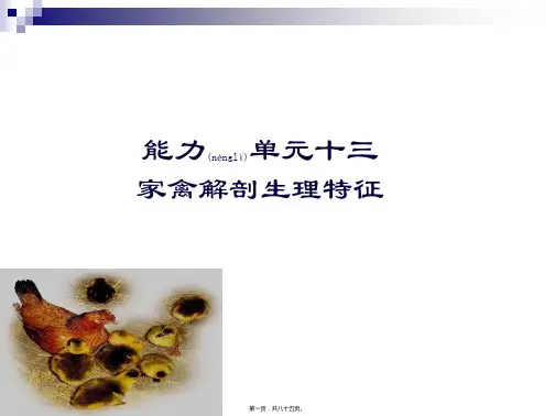 家禽解剖生理