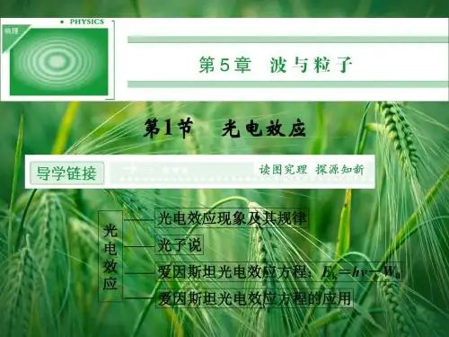 5.1 光电效应同步课件 鲁科版选修3-5课件