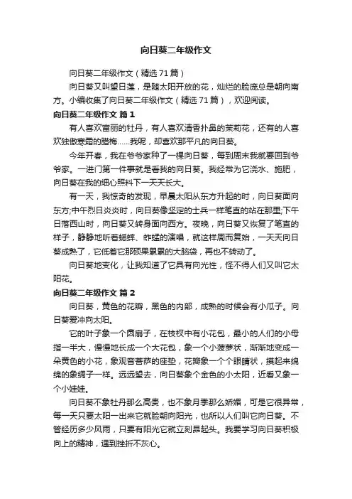 向日葵二年级作文（精选71篇）