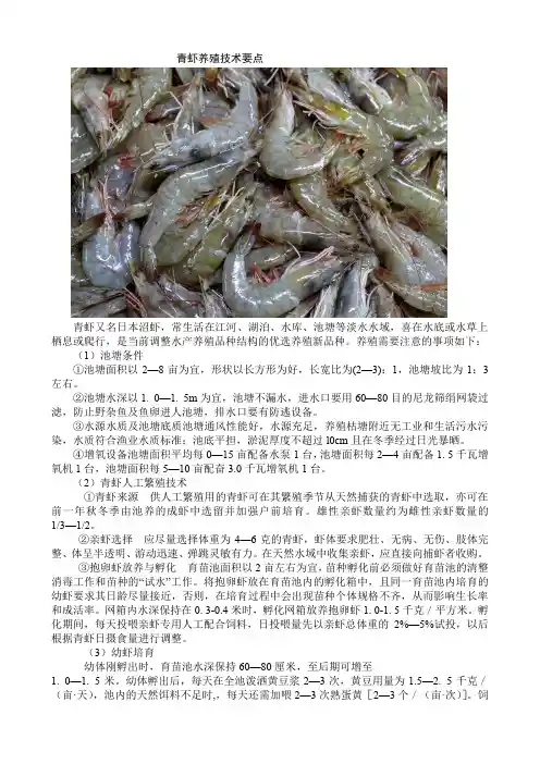 青虾养殖技术要点