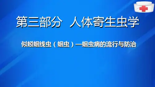 人体寄生虫学—似蚓蛔线虫(蛔虫)